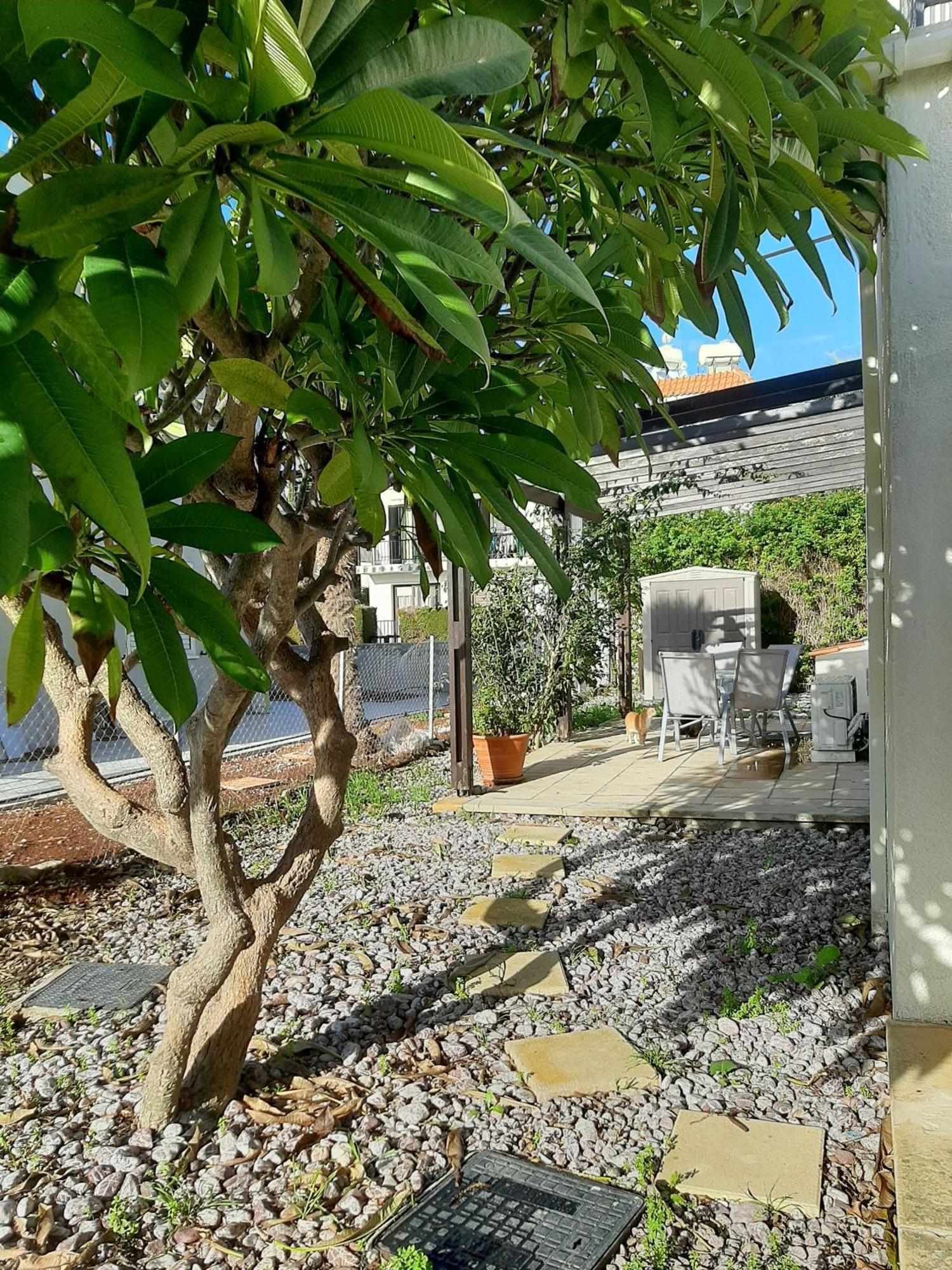 H&O Royal Townhouse In Center Paphos 아파트 외부 사진